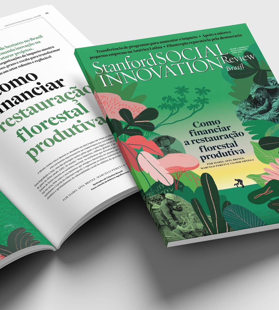 Capa da edição impressa da Stanford Social Innovation Review Brasil edição 12