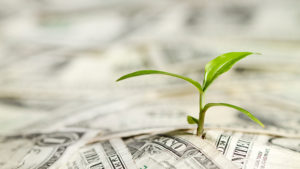 Investimentos ESG