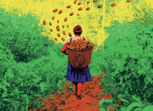 Bioeconomia inclusiva