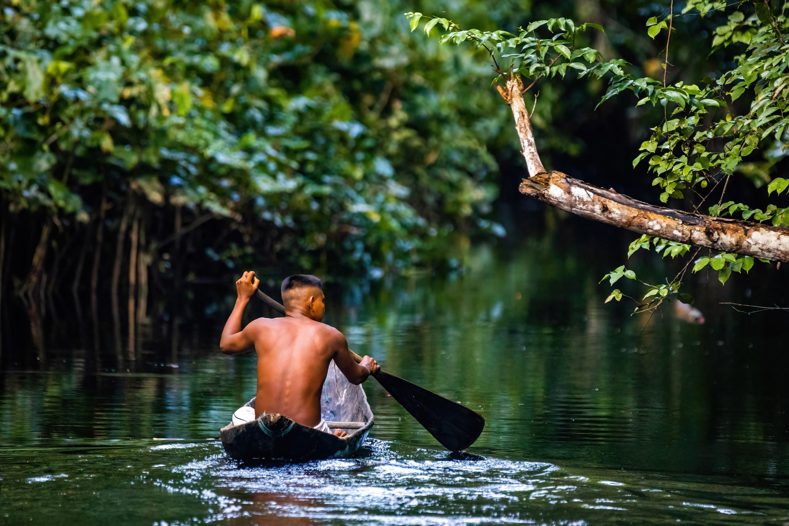 A Empatia como caminho para a saúde mental - Portal Amazônia