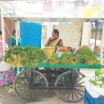 Anuradha, que recebeu um protótipo do carrinho de refrigeração em setembro de 2022, usa seu carrinho para vender produtos agrícolas em Kolar, Índia. (Foto cortesia da Trane Technologies)