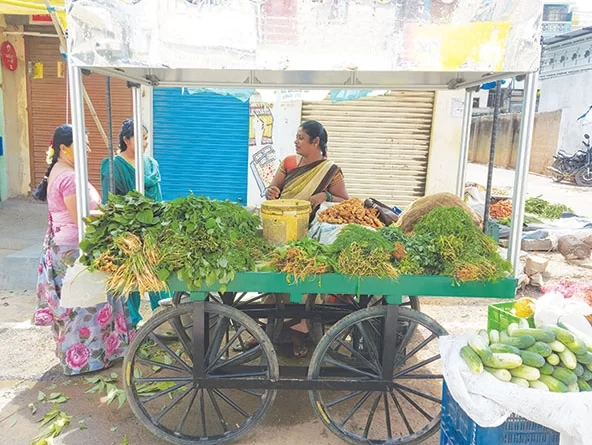 Foto de vendedora ambulante com seu carrinho repleto de hortaliças. O carrinho foi desenvolvido com a solução climática para resfriamento