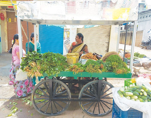 Foto de vendedora ambulante com seu carrinho repleto de hortaliças. O carrinho foi desenvolvido com a solução climática para resfriamento