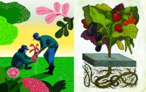 Ilustrações da 12ª edição da SSIR Brasil