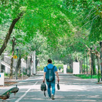 Um estudante caminha pelo Campus Monterrey, o campus principal do Tecnológico de Monterrey, no norte do México. Ele caminho no meio de uma via larga asfaltada, onde não são vistos carros. À esquerda, os prédios da universidade são visíveis, e há árvores em ambos os lados da via. Além do estudante na vida central, são visíveis três animais do lado esquerdo: um pavão e dois patos