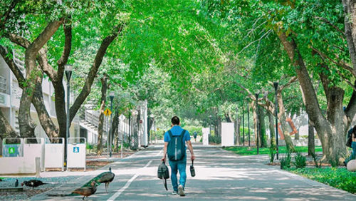 Um estudante caminha pelo Campus Monterrey, o campus principal do Tecnológico de Monterrey, no norte do México. Ele caminho no meio de uma via larga asfaltada, onde não são vistos carros. À esquerda, os prédios da universidade são visíveis, e há árvores em ambos os lados da via. Além do estudante na vida central, são visíveis três animais do lado esquerdo: um pavão e dois patos