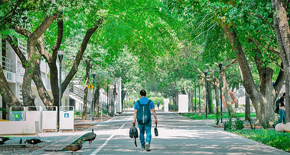 Um estudante caminha pelo Campus Monterrey, o campus principal do Tecnológico de Monterrey, no norte do México. Ele caminho no meio de uma via larga asfaltada, onde não são vistos carros. À esquerda, os prédios da universidade são visíveis, e há árvores em ambos os lados da via. Além do estudante na vida central, são visíveis três animais do lado esquerdo: um pavão e dois patos